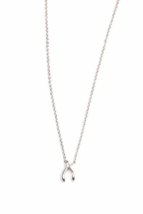 Dainty Wishbone Necklace