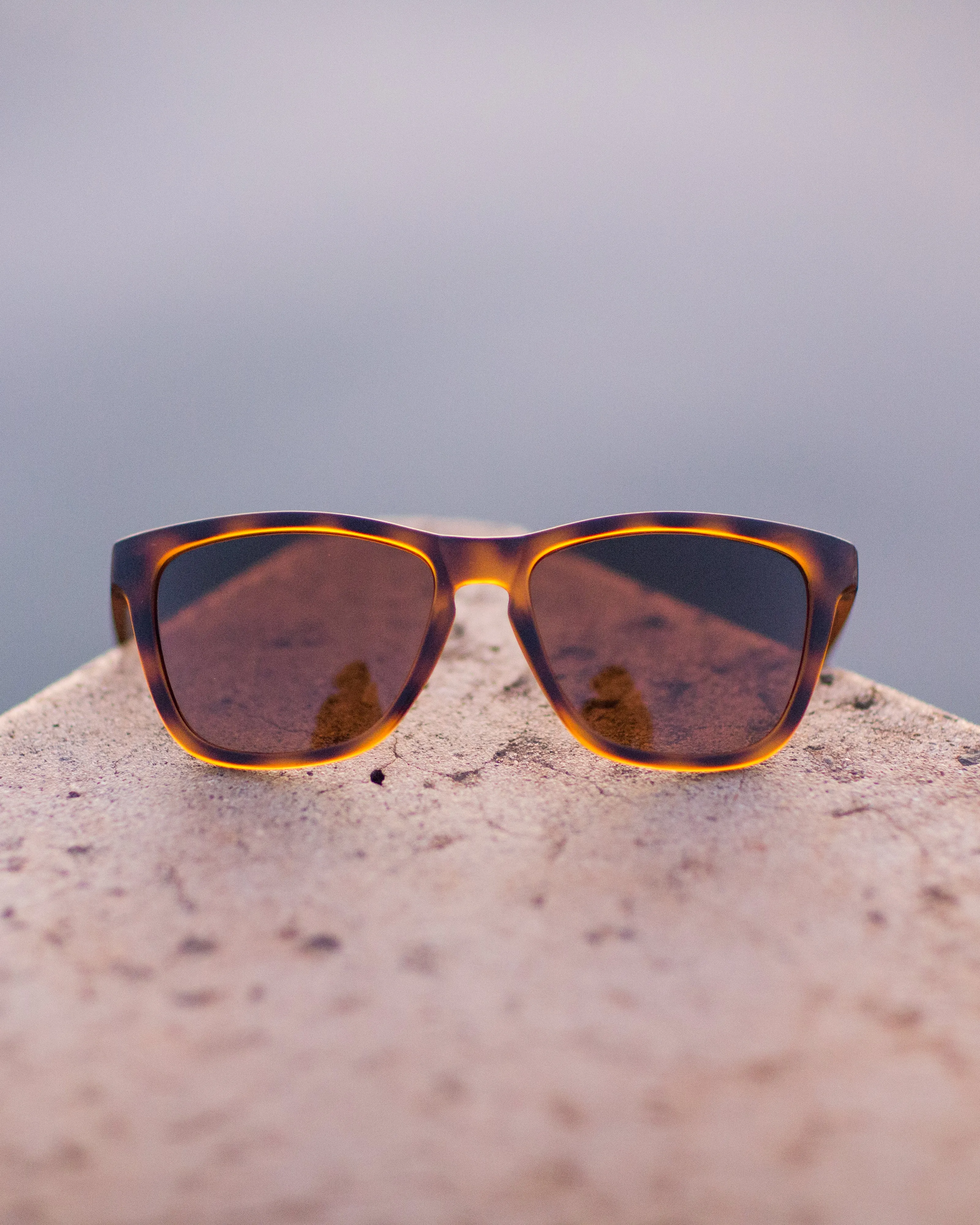 Madrona Sunglasses - Tortoise