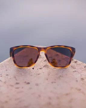 Madrona Sunglasses - Tortoise