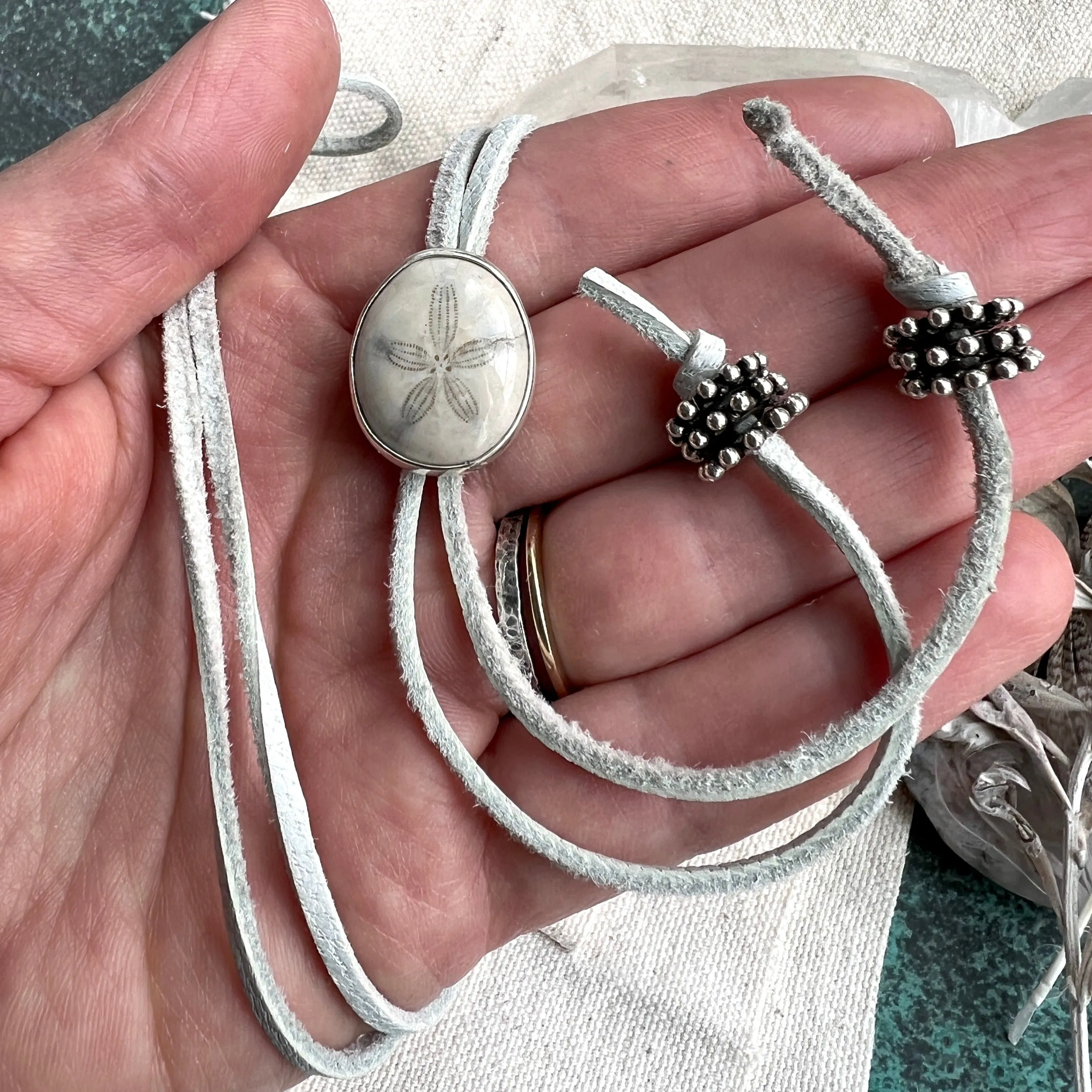 Petite Sand Dollar Lady Bolo Necklace