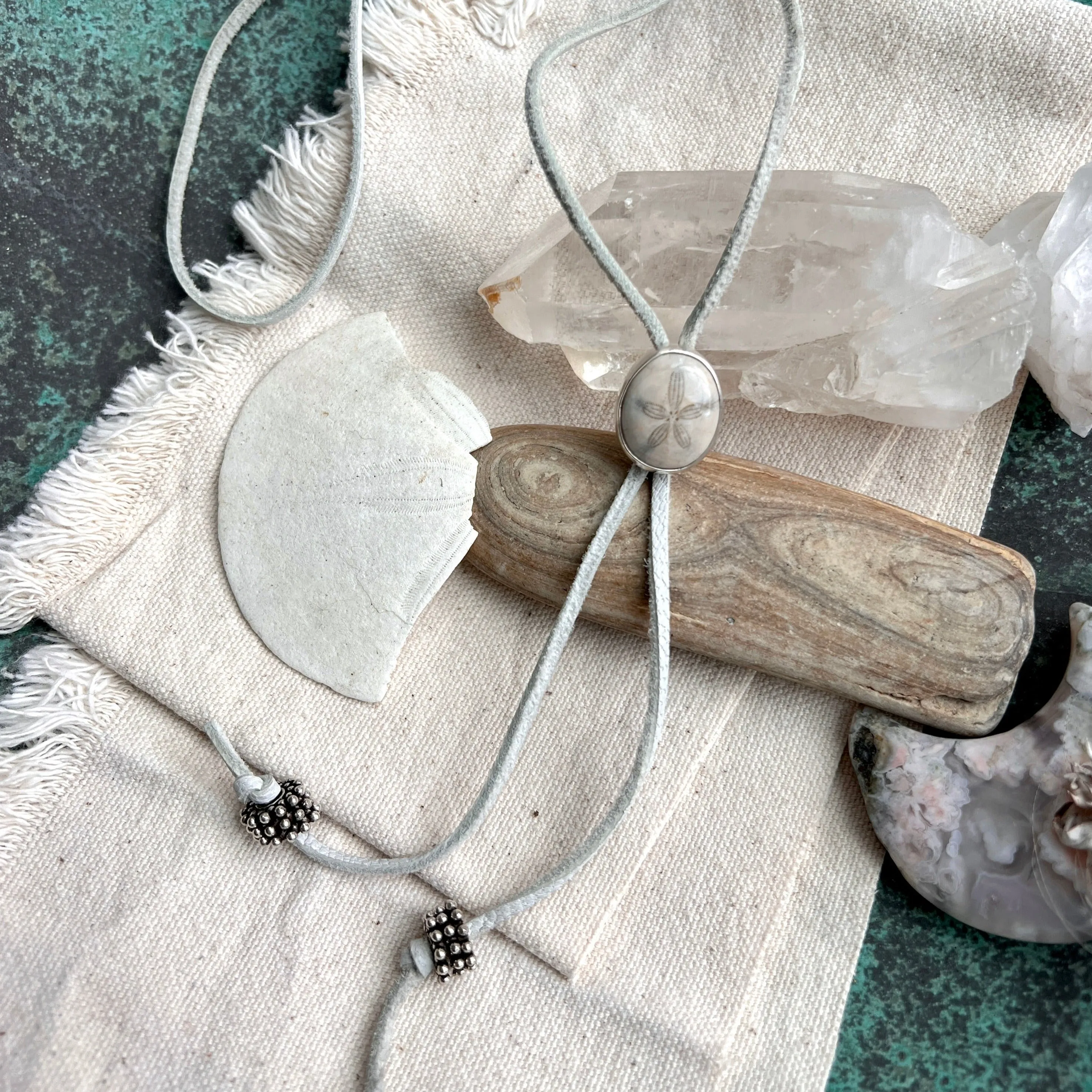 Petite Sand Dollar Lady Bolo Necklace