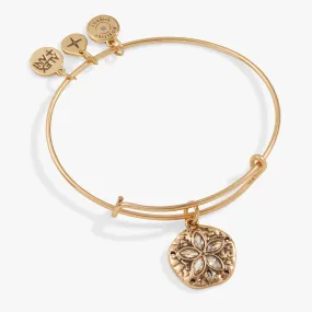 Sand Dollar Charm Bangle