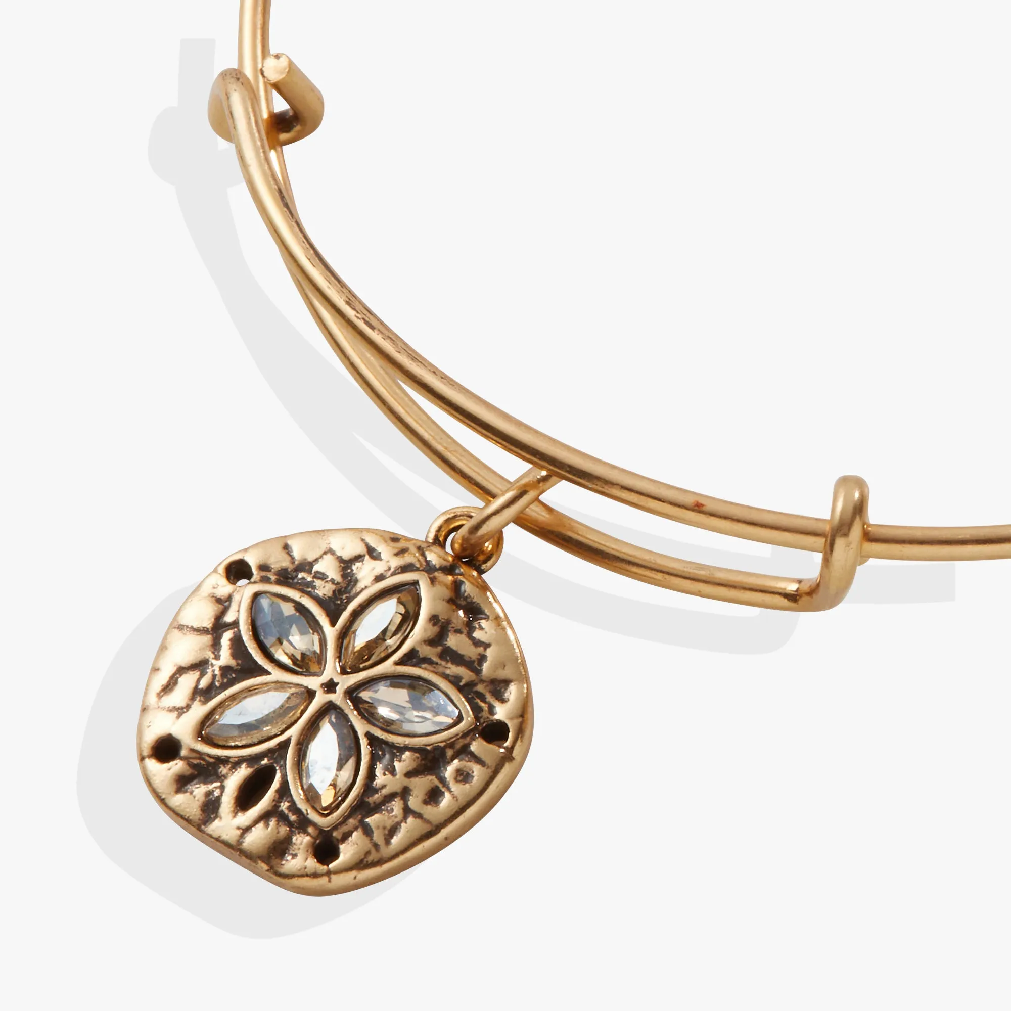 Sand Dollar Charm Bangle