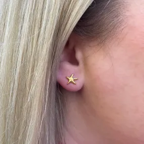 Starfish Earrings